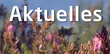 RoMed Kliniken - Aktuelles<br>Ausgabe 02/2021