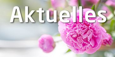 RoMed Kliniken - Aktuelles<br>Pfingstausgabe 2022